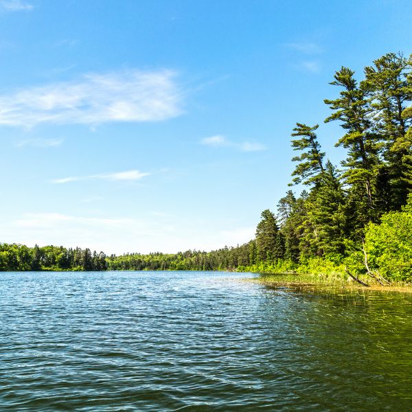lake minnesota
